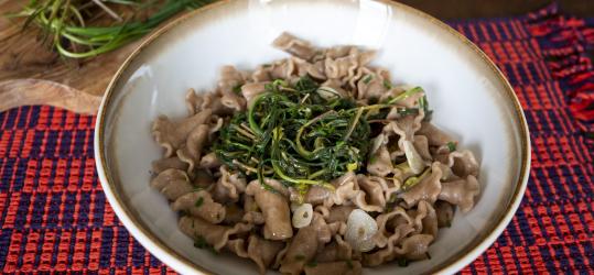 2604 _pasta_barba_di_frate