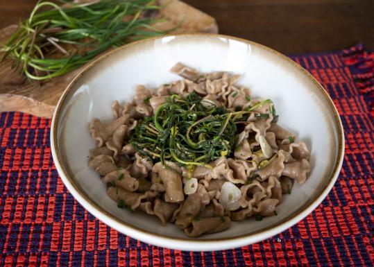 2604 _pasta_barba_di_frate