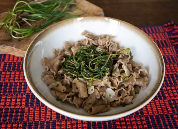 2604 _pasta_barba_di_frate